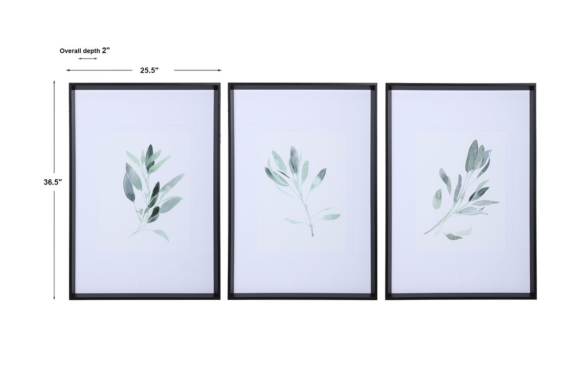 Simple Sage Watercolor Prints Set/3, Art by Uttermost, 25.5" width x 36.5" height x 2" depth View 3