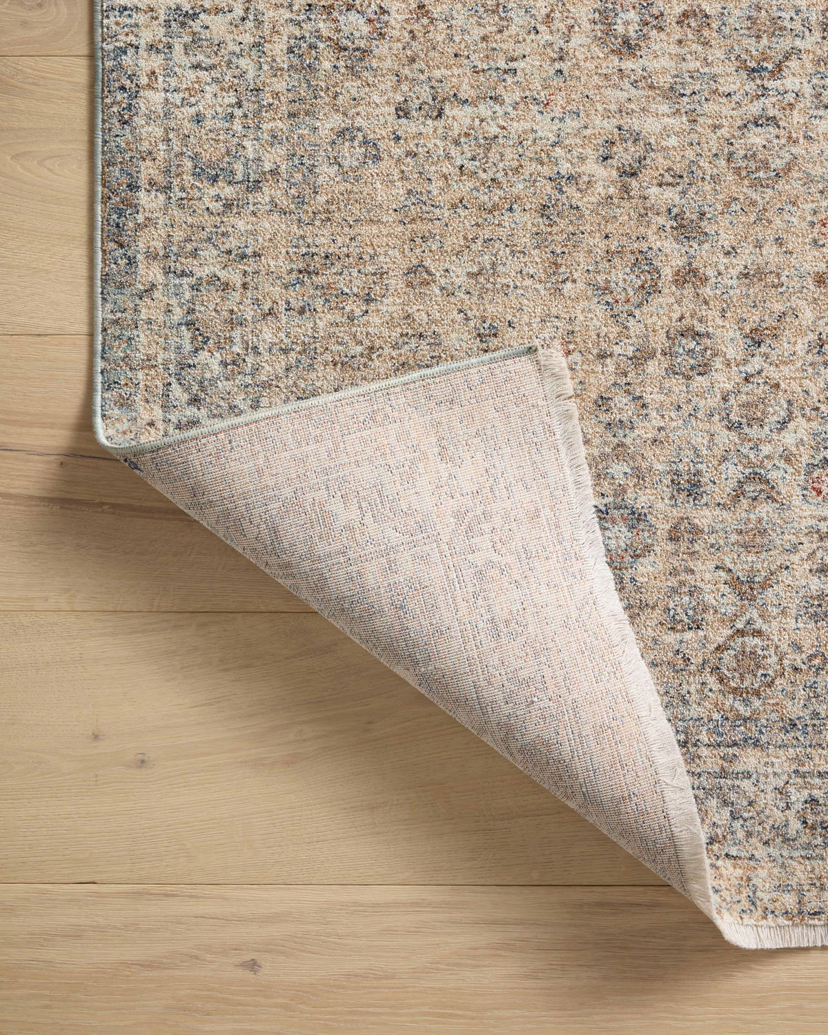 Angela Rose x Loloi Blake Rug, 5'3" length x 5'3" width View 9