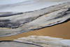 Humphrey  Canvas Art, Painting by Renwil, 60" height x 1.5" depth thumbnail 5