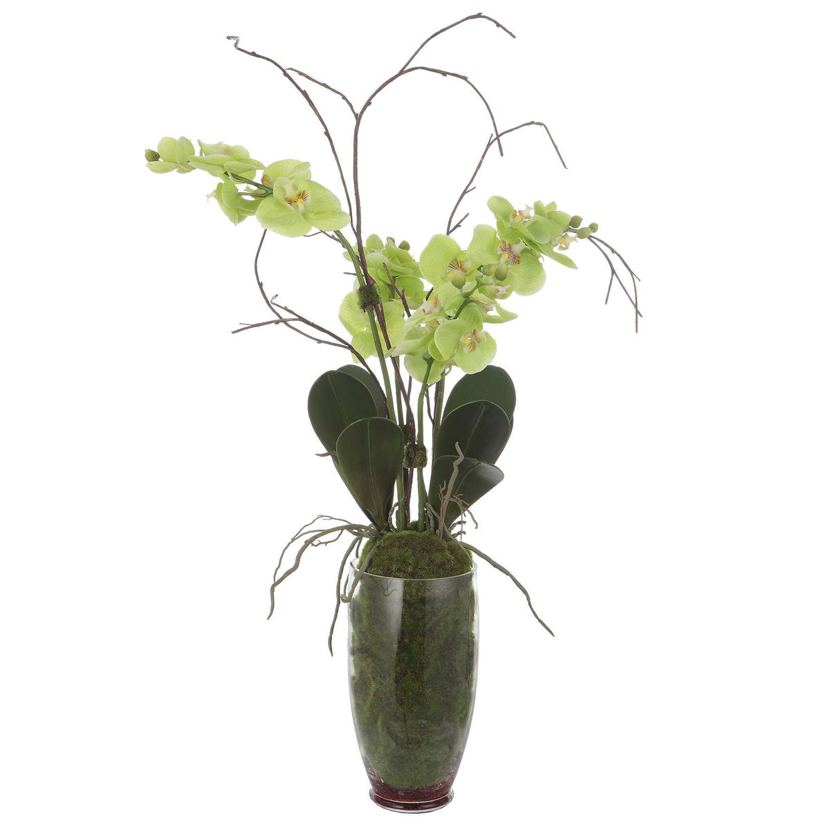 Valdive Orchid, Artificial Plants & Flower by Uttermost, 21" width x 38" height x 21" depth View 3