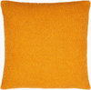 Eesha Accent Pillow, Decorative Pillow by Surya, 18" length x 18" width thumbnail