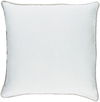 Sasha Accent Pillow, Decorative Pillow by Surya, 18" length x 18" width thumbnail