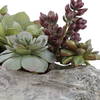 Charita Lush Succulents, Artificial Plants & Flower by Uttermost, 29.5" width x 10" height x 10" depth thumbnail 5