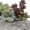 Charita Lush Succulents, Artificial Plants & Flower by Uttermost, 29.5" width x 10" height x 10" depth thumbnail 5