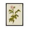 BOTANICAL III, Sculptural Wall Art by Mind the Gap thumbnail