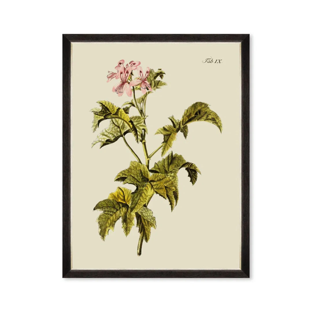 BOTANICAL III, Sculptural Wall Art by Mind the Gap