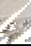 Clover End Table thumbnail 3
