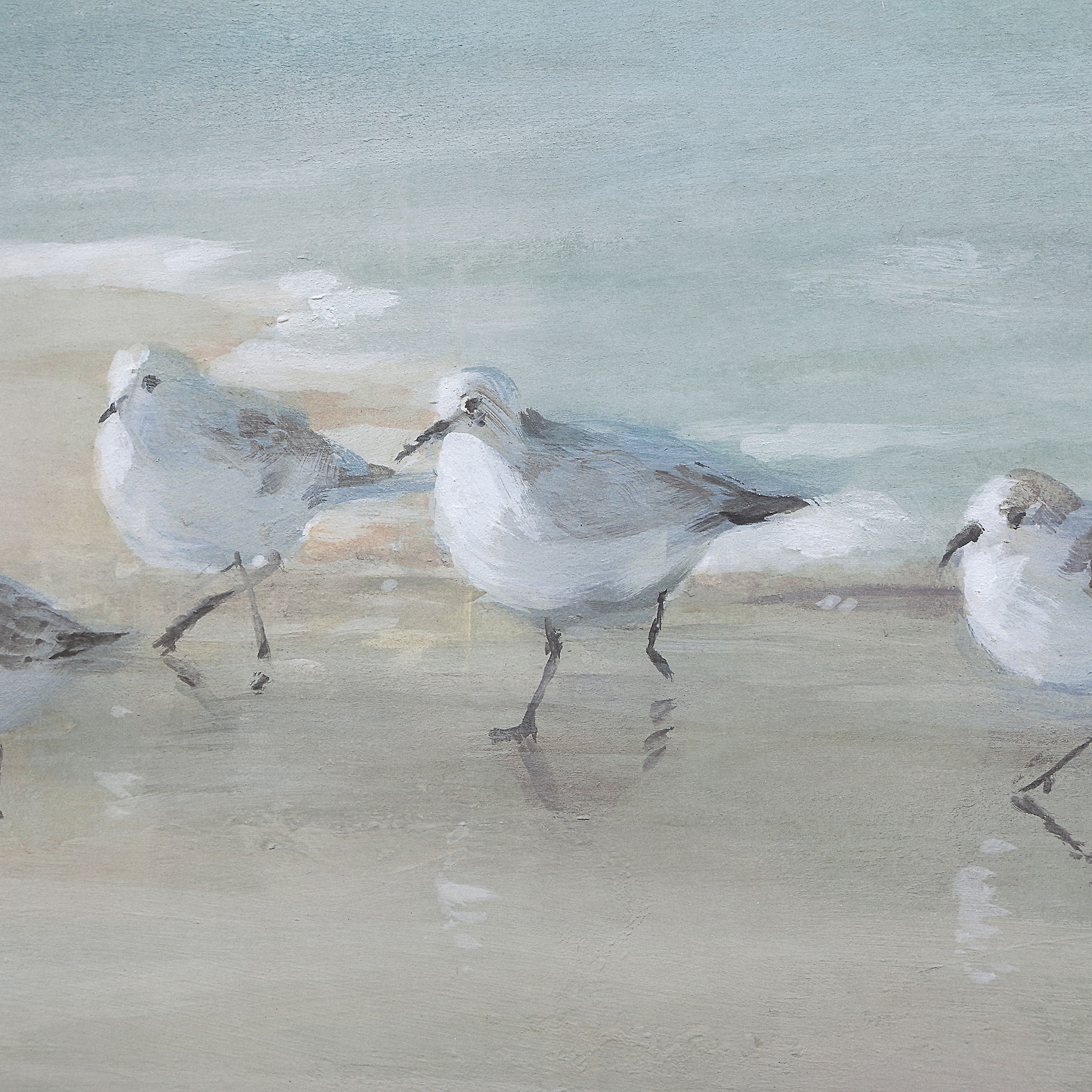 Tranquil Shorebirds On The Sand Framed Print large image 