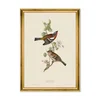 CHAFFINCH, Sculptural Wall Art by Mind the Gap thumbnail