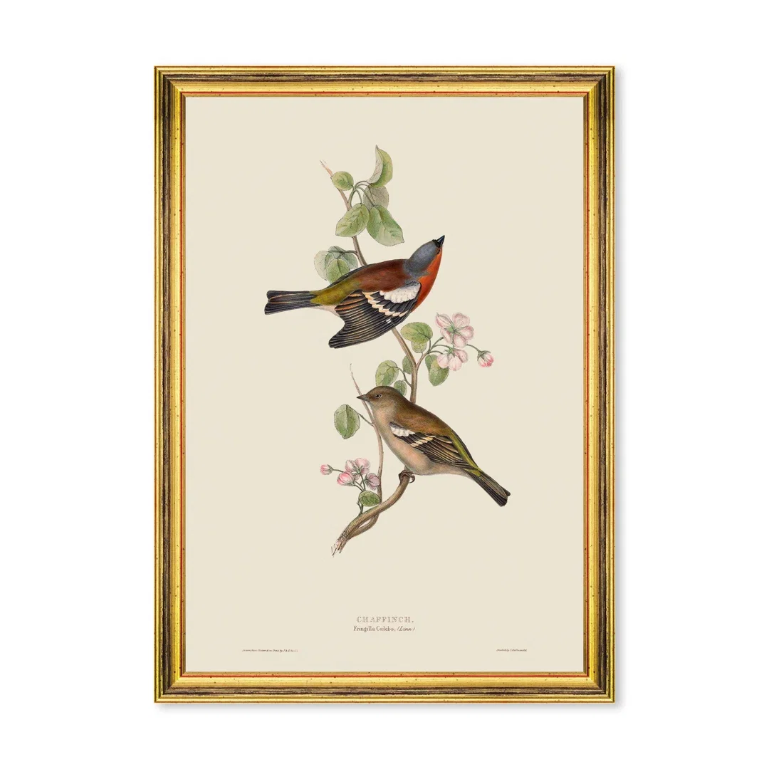 CHAFFINCH, Sculptural Wall Art by Mind the Gap