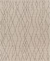 Cozy Machine Woven Rug thumbnail 0