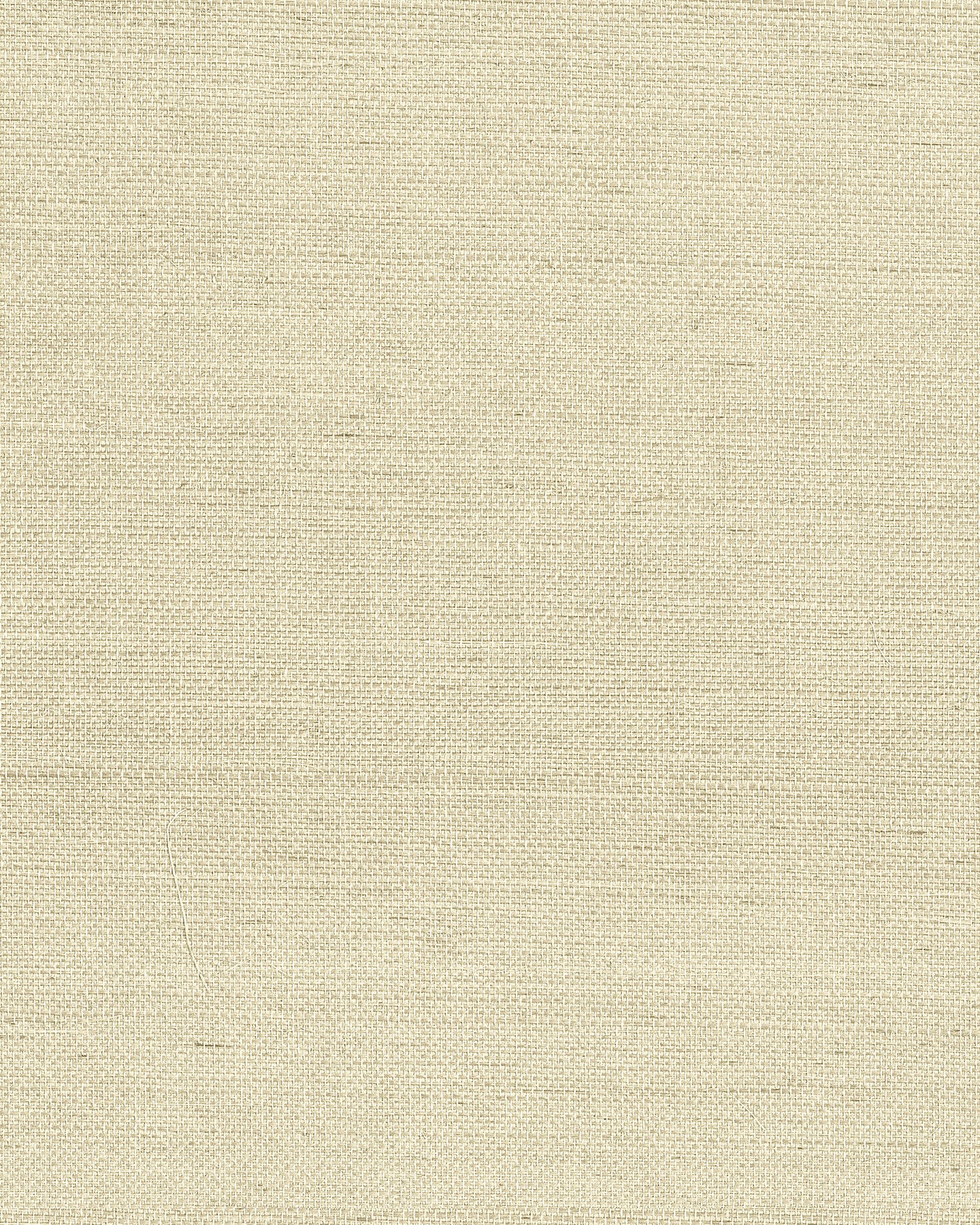 Maguey Sisal Oat Wallpaper large image 