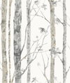 Birch Trees Brown Peel & Stick Wallpaper, by York Wall, 16'6" length x 1'8.5" width x 0.02" depth thumbnail