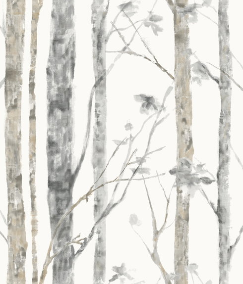 Birch Trees Brown Peel & Stick Wallpaper