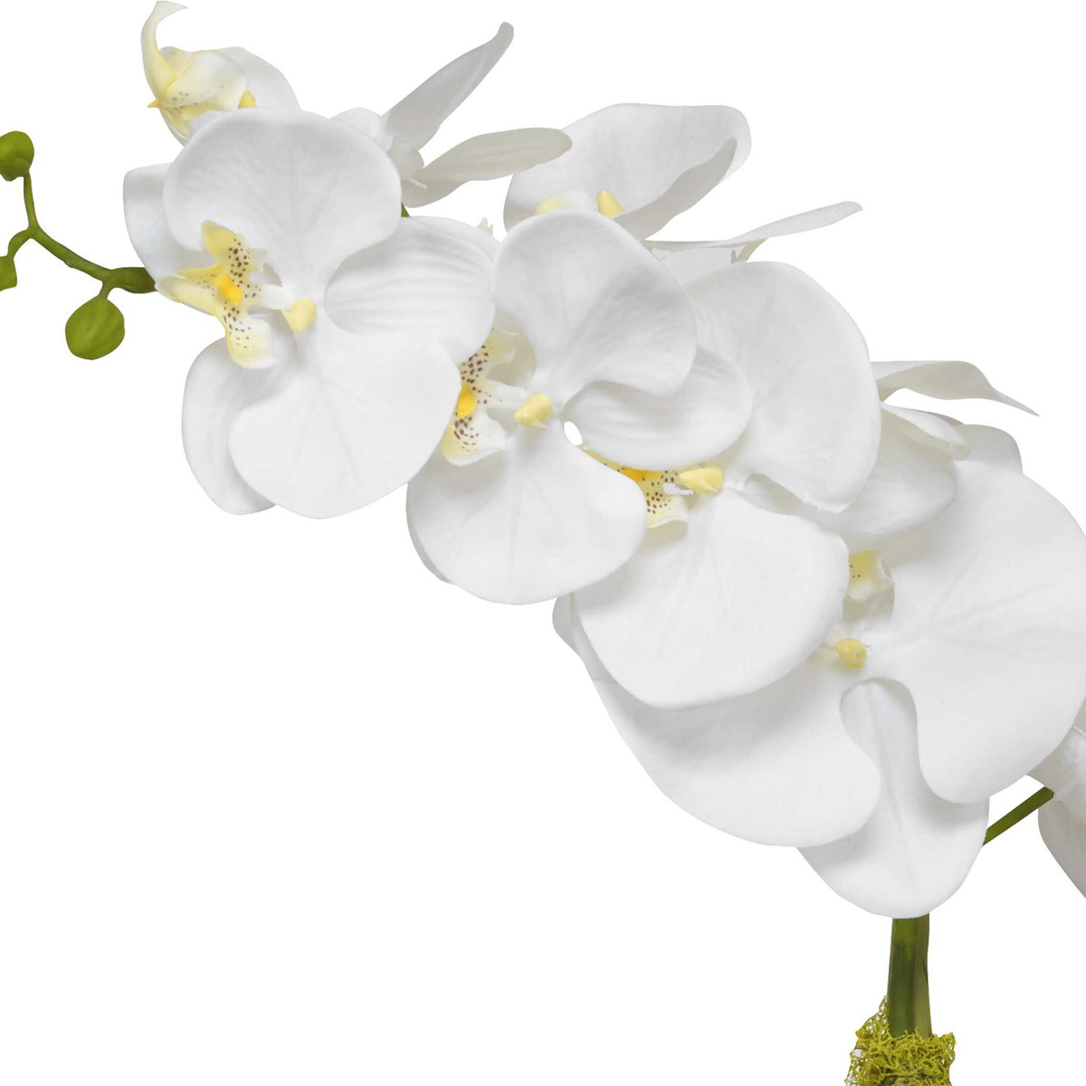 Cami Orchid With Brass Pot, by Uttermost, 1'2" width x 2' height x 8" depth View 5