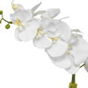 Cami Orchid With Brass Pot, by Uttermost, 1'2" width x 2' height x 8" depth thumbnail 5