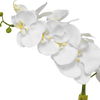 Cami Orchid With Brass Pot 4 Cami Orchid With Brass Pot thumbnail 4