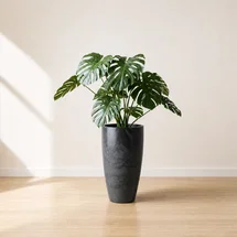 Online Designer Other ECOBO Eco-Friendly Round Pot Planter, VicenzaIndoor/Outdoor use,Four Season Use