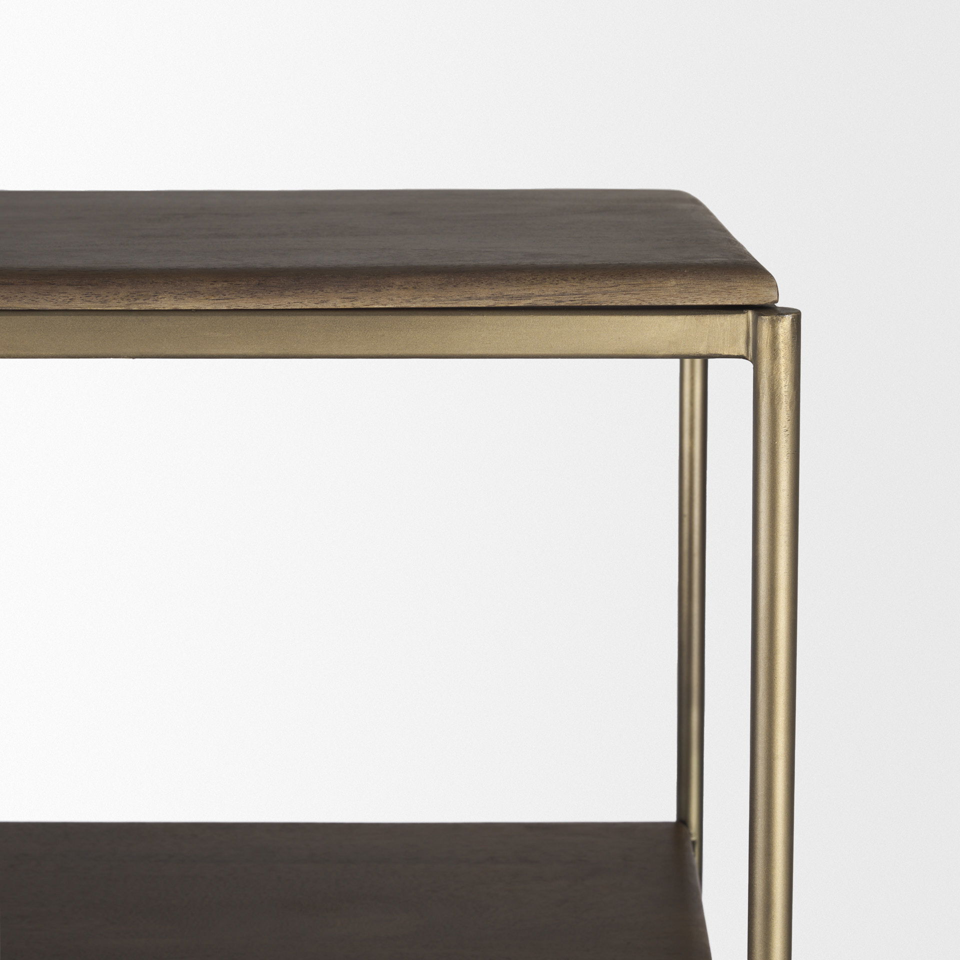Braxton Dark Brown Wood with Antiqued Aged Brass Metal 3 Tiers 2 Door Shelving Unit large image 