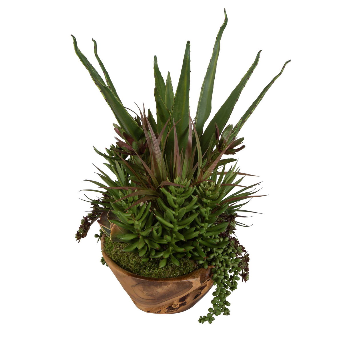 Salar Succulents In Teak Bowl, Artificial Plants & Flower by Uttermost, 22" width x 20" height x 12" depth View 5
