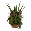 Salar Succulents In Teak Bowl, Artificial Plants & Flower by Uttermost, 22" width x 20" height x 12" depth thumbnail 5