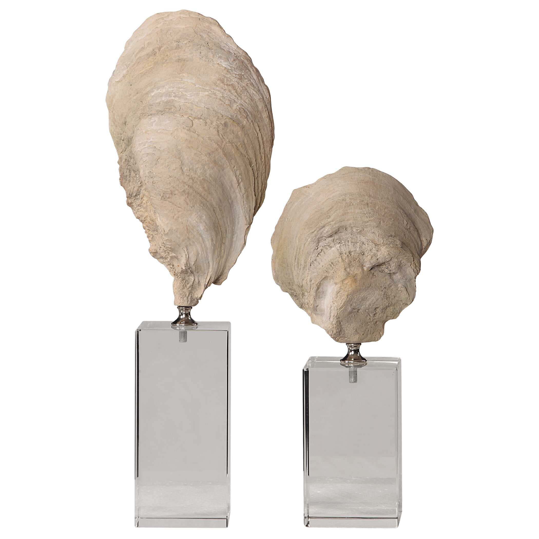 Oyster Shell Sculptures Set/2, Decorative by Uttermost, 5.25" width x 15.25" height x 3.12" depth View 4