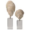 Oyster Shell Sculptures Set/2, Decorative by Uttermost, 5.25" width x 15.25" height x 3.12" depth thumbnail 4