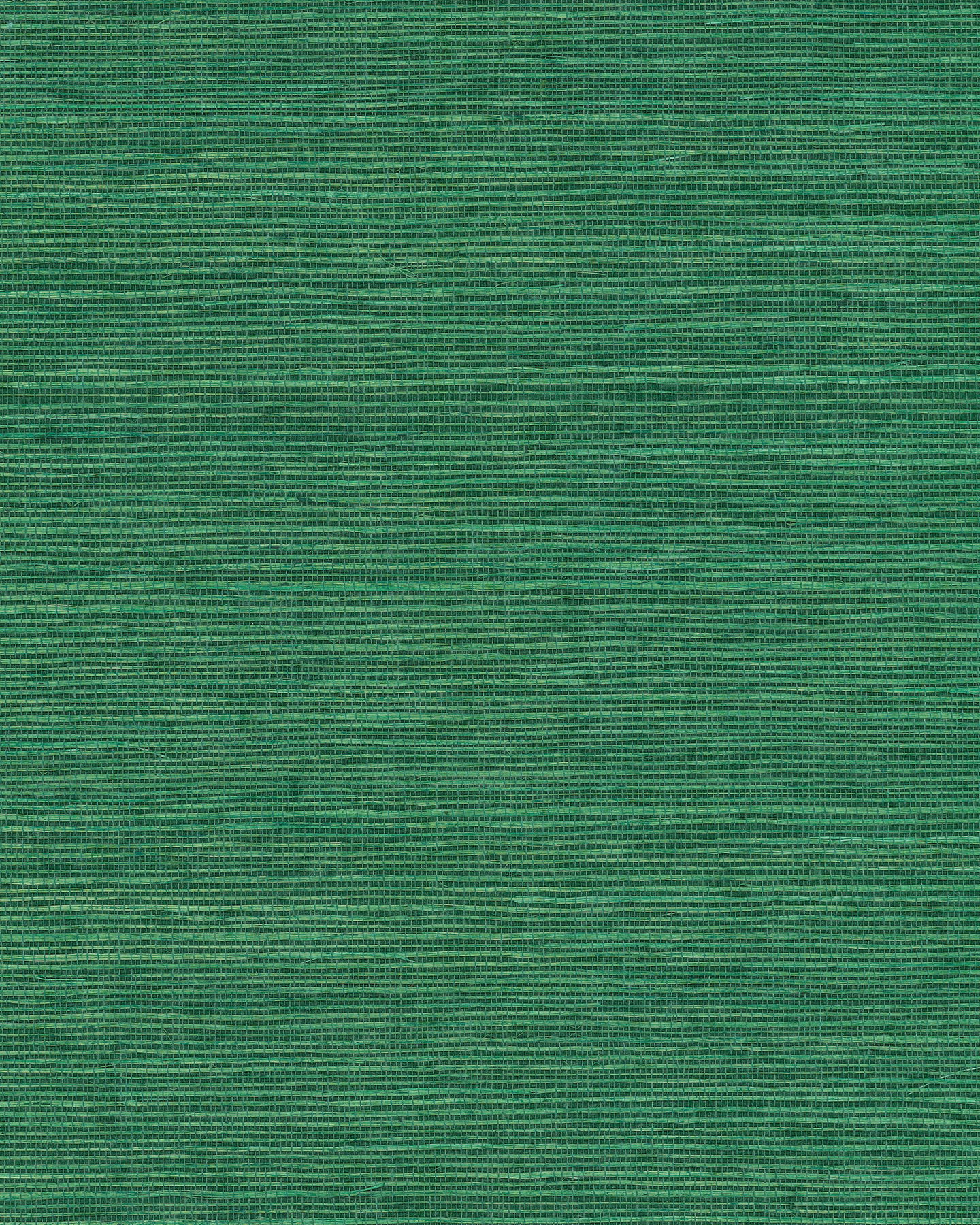 Maguey Sisal Jade Wallpaper large image 