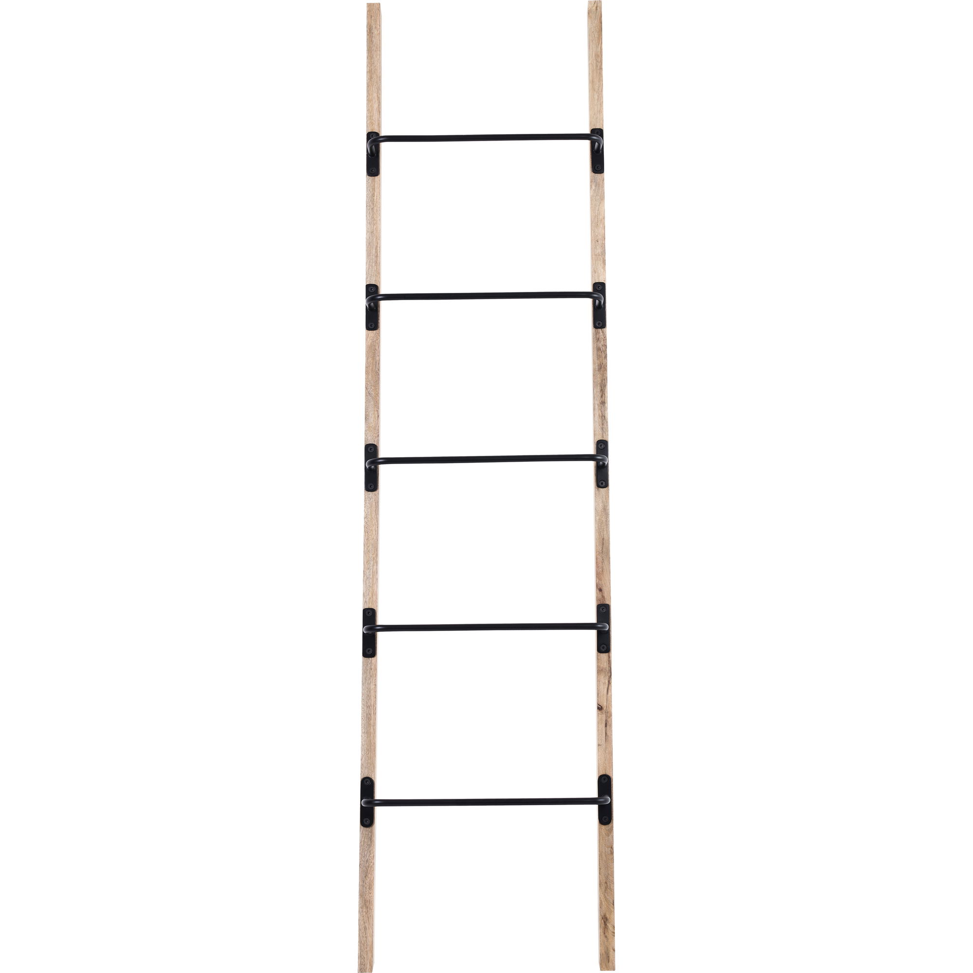 Marieta Blanket Ladder, Shelving & Bookcase by Renwil, 72" height x 2" depth View 1