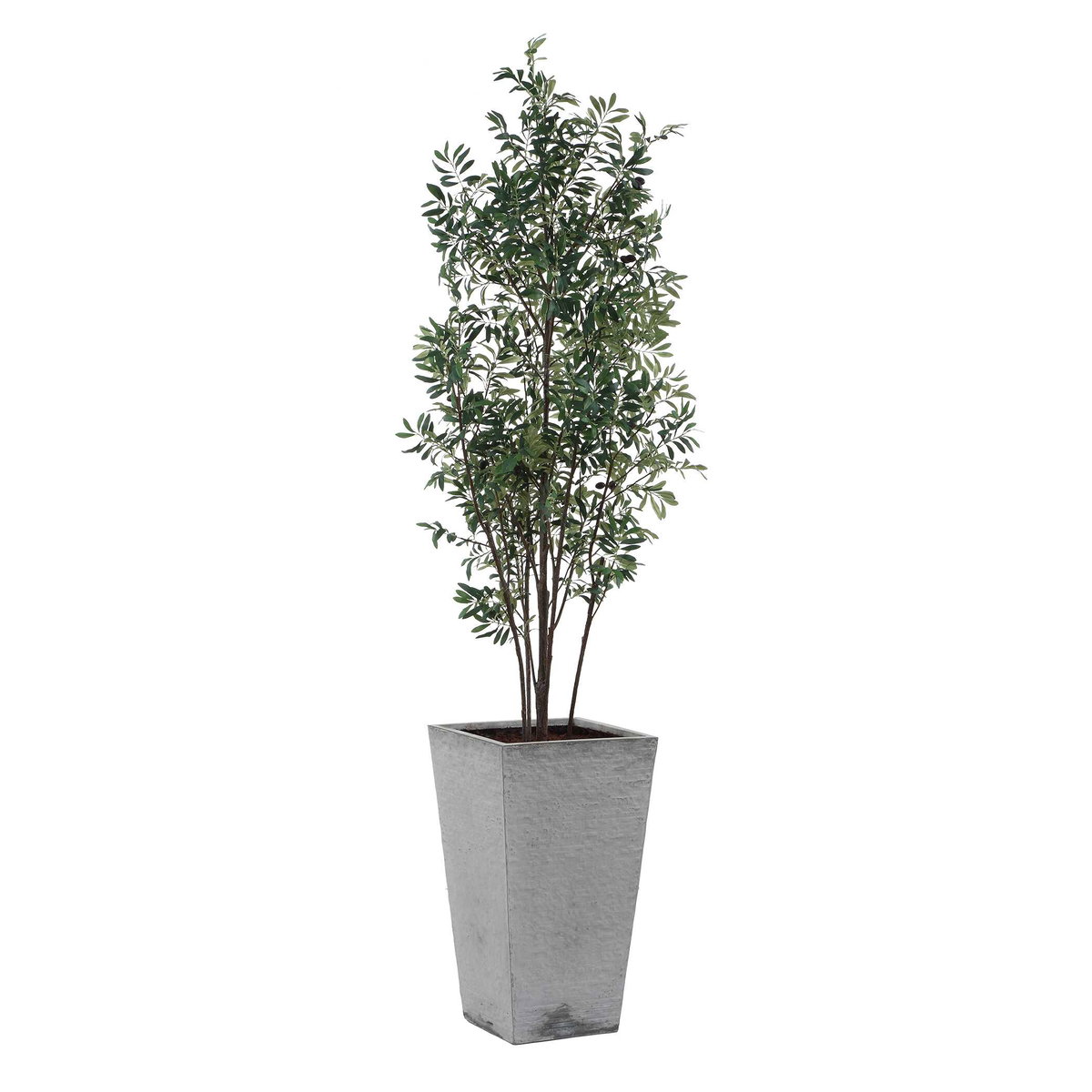 Sonora Olive Tree In Planter, by Uttermost, 2'9" width x 7'5.25" height x 2'7.5" depth View 1