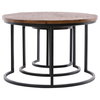 Shelby Nesting Tables Set of 3, Coffee Table by Dovetail, 30" width x 19.2" height x 30" depth thumbnail 2