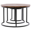 Shelby Nesting Tables Set of 3 thumbnail 1