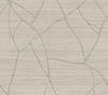Raska Taupe Wallpaper thumbnail 0