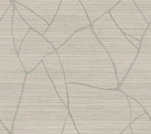 Raska Taupe Wallpaper