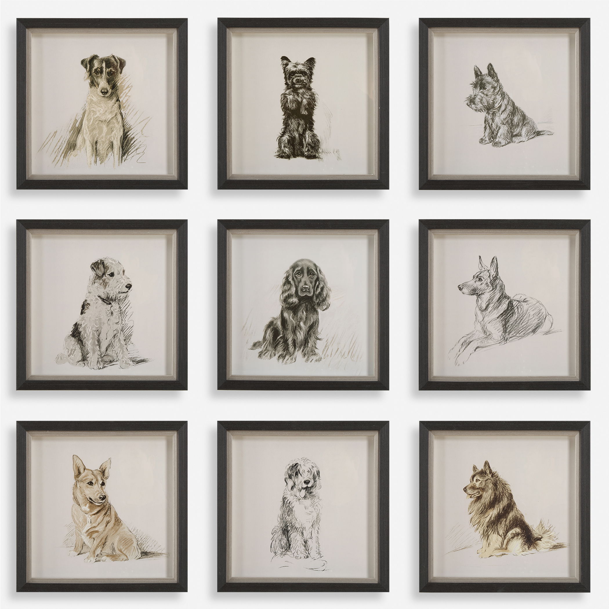 Loyal Companion Framed Dog Prints, S/9 large image 