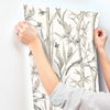 Bambou Toile White Wallpaper, by York Wall, 27' length x 2'3" width x 0.02" depth thumbnail 6