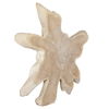 Terrains Natural Wood Wall Decor thumbnail 4