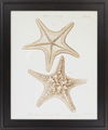 Surya Wall Decor thumbnail 0