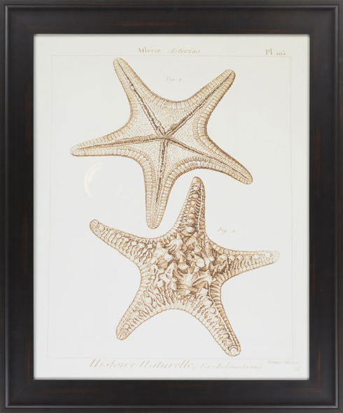 Surya Wall Decor
