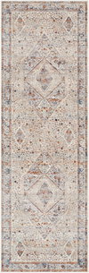 Arya Machine Woven Rug, by Surya, 10'0.08" length x 3'2.98" width thumbnail