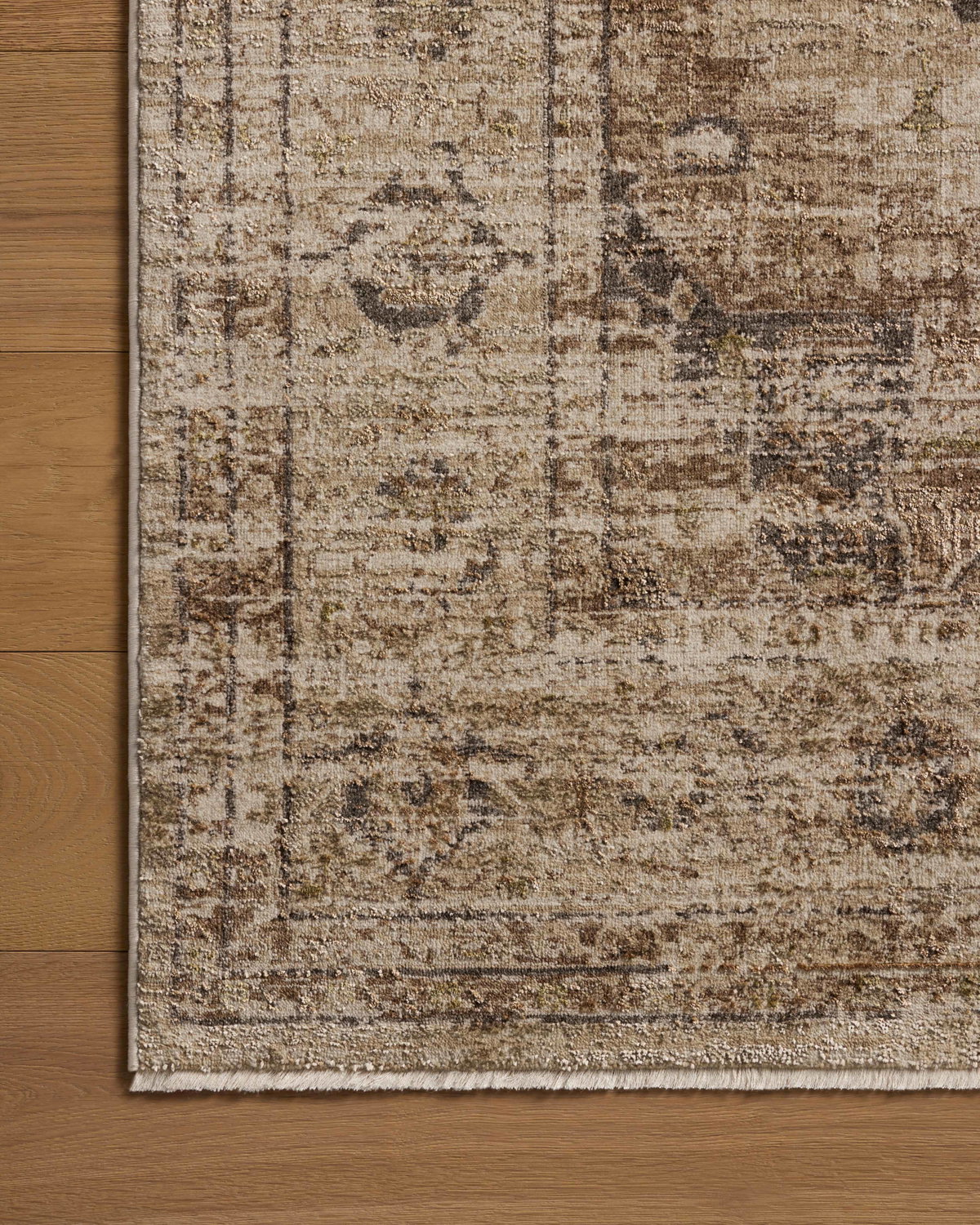 Loloi Haywood Rug, 3'6" length x 5'7" width View 5