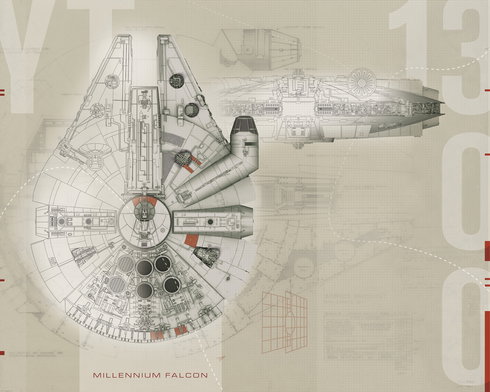 Star Wars Millennium Falcon Wall Mural