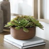 Sable Succulent Accent In Pot, Artificial Plants & Flower by Uttermost, 13.25" width x 8.5" height x 13.25" depth thumbnail 2