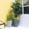 TruDrop Rim Modern Self Watering Planter, by Crescent Garden, 18" width x 18" height x 18" depth thumbnail 4