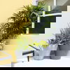 TruDrop Rim Modern Self Watering Planter thumbnail 3