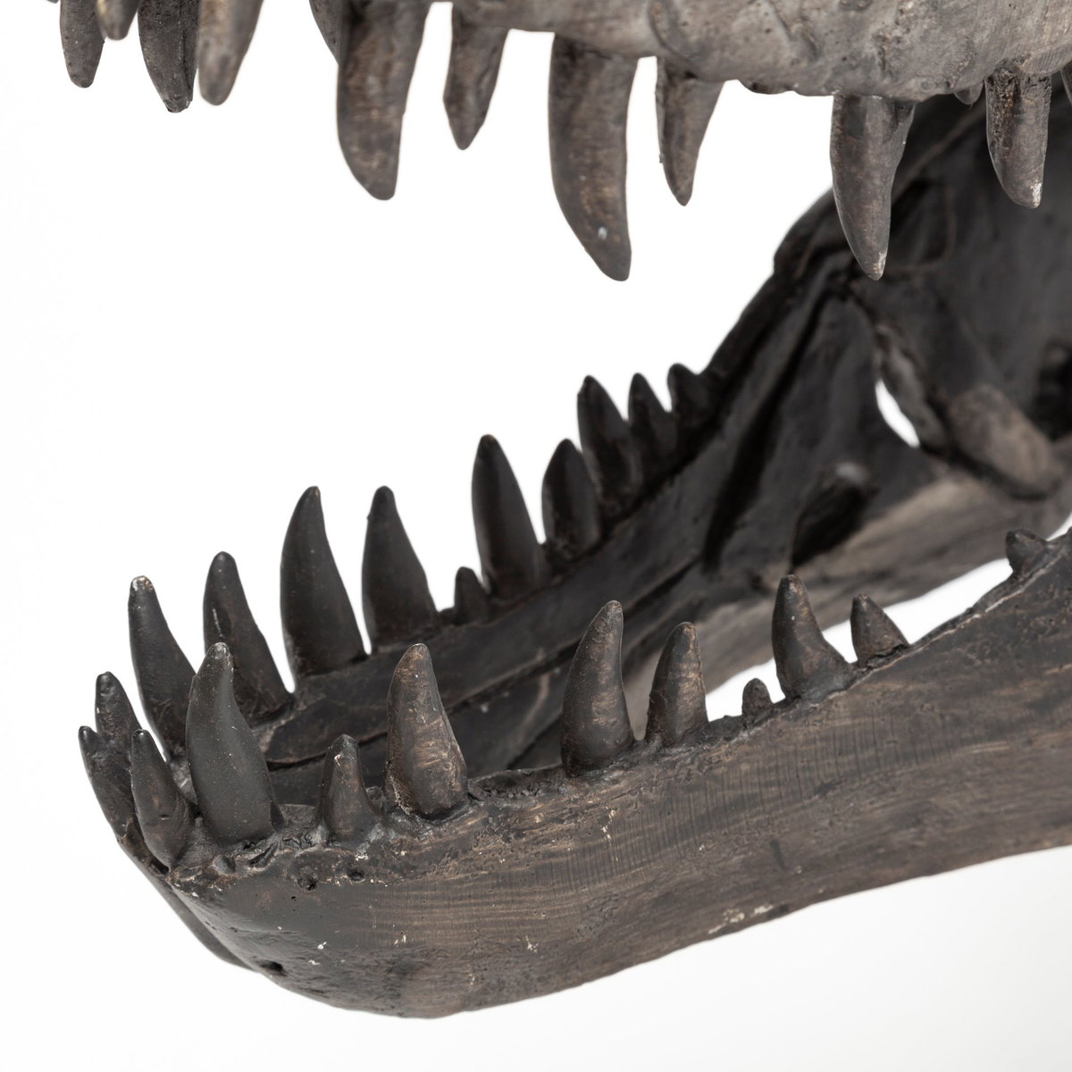 Jurassic 6L x 10W Brown Resin Tyrannosaurus Skull Replica, Decorative Object by Mercana, 6" length x 9.84" width x 11.81" height View 9