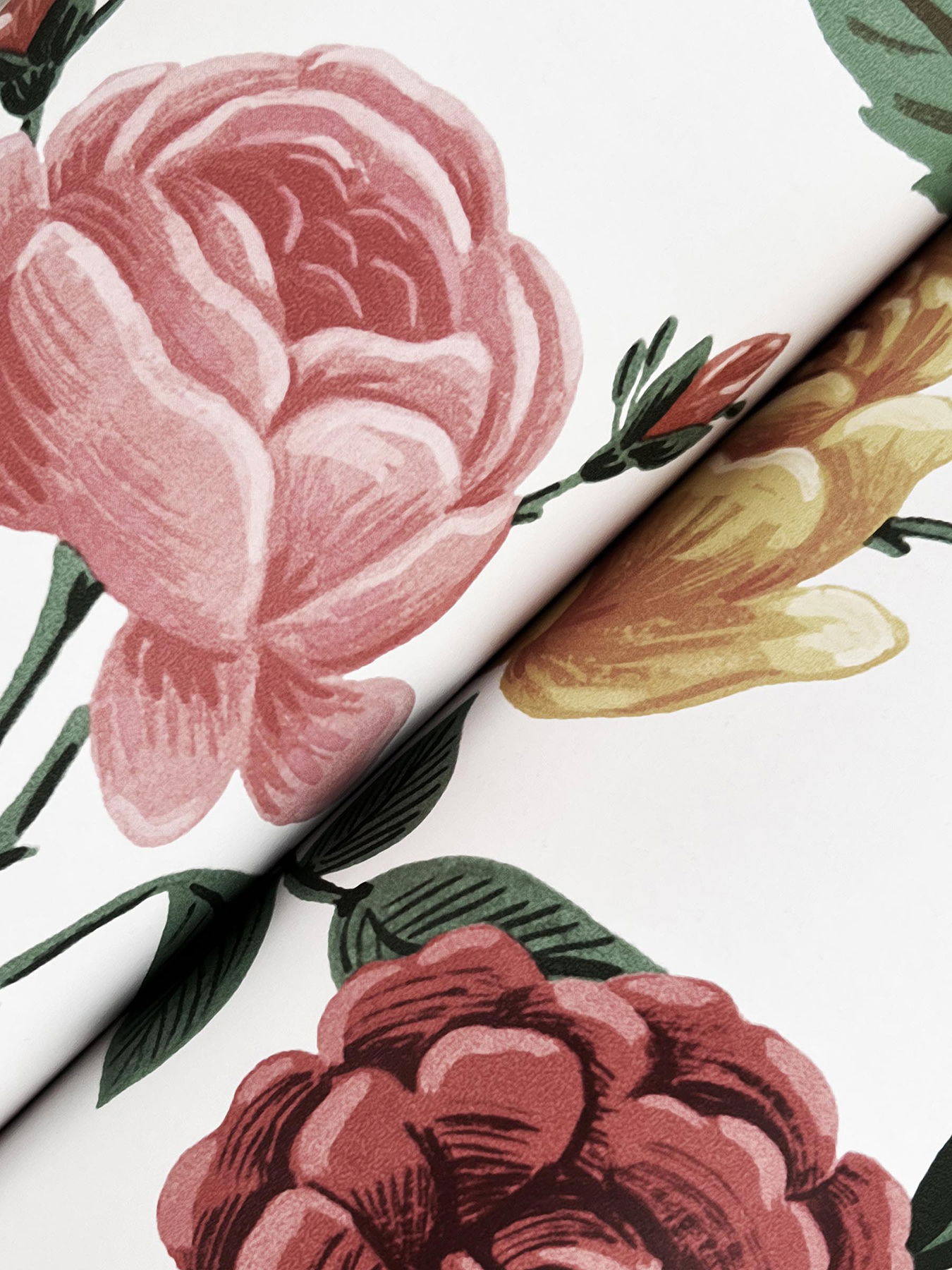 Roses Blush Wallpaper large image 