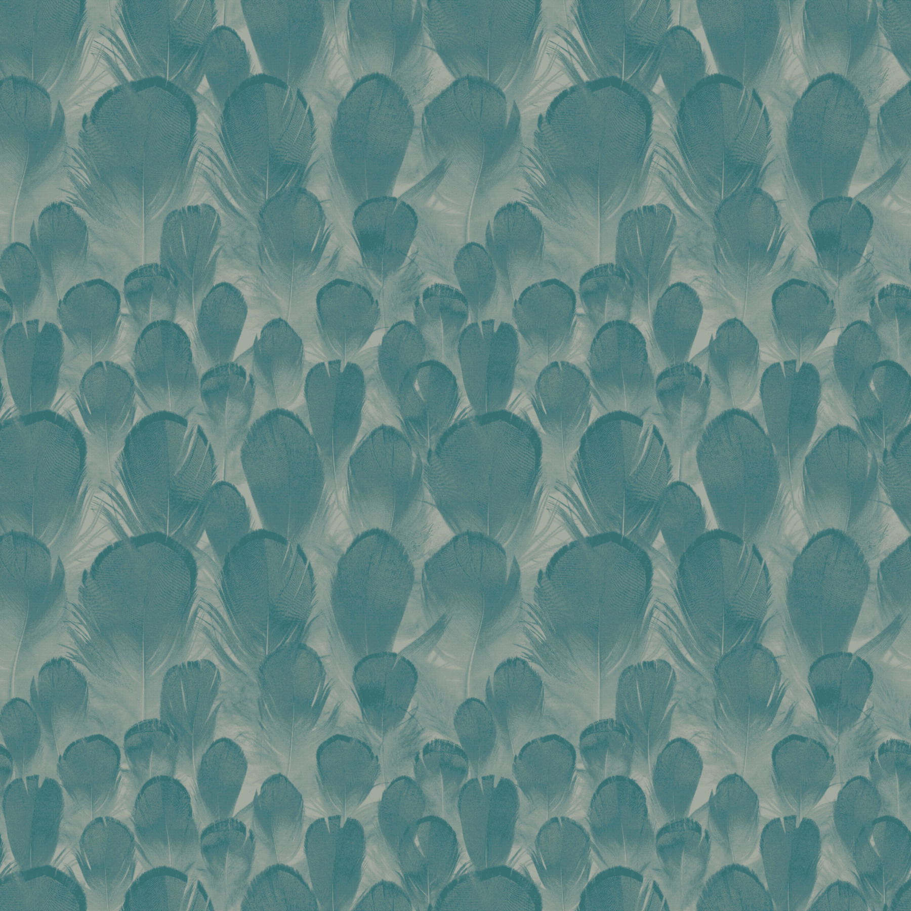 Feathers Teal & Green Wallpaper large image 