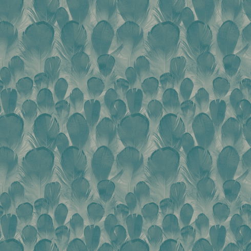 Feathers Teal & Green Wallpaper