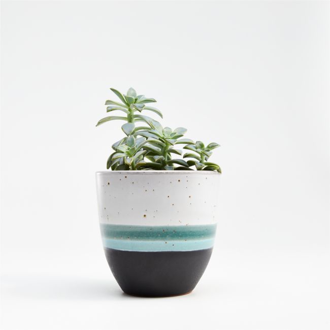 Online Designer Kitchen Aveiro Small Blue Planter